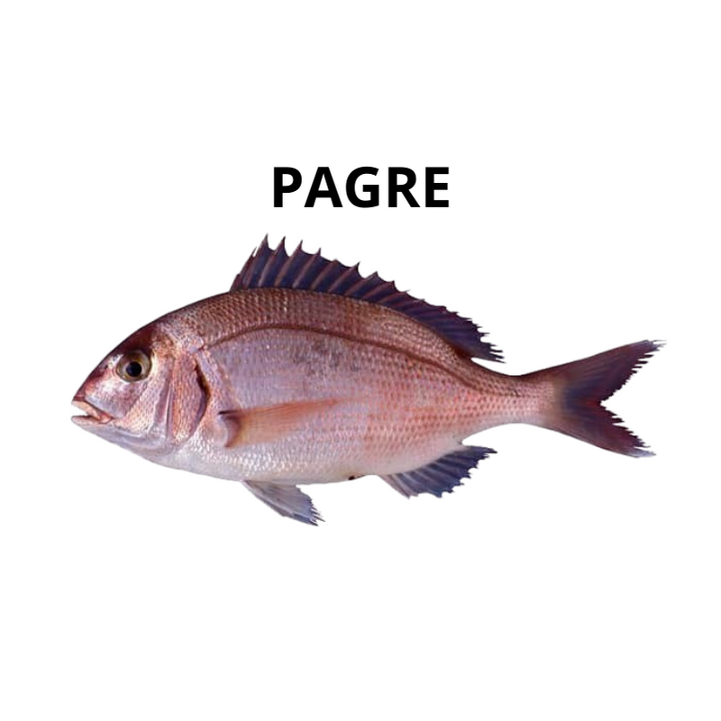 Pagre