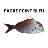 Pagre point bleu