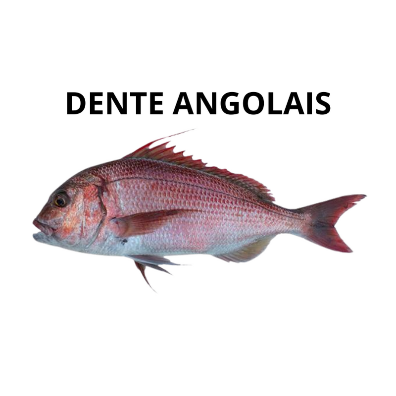 Dente Angolais