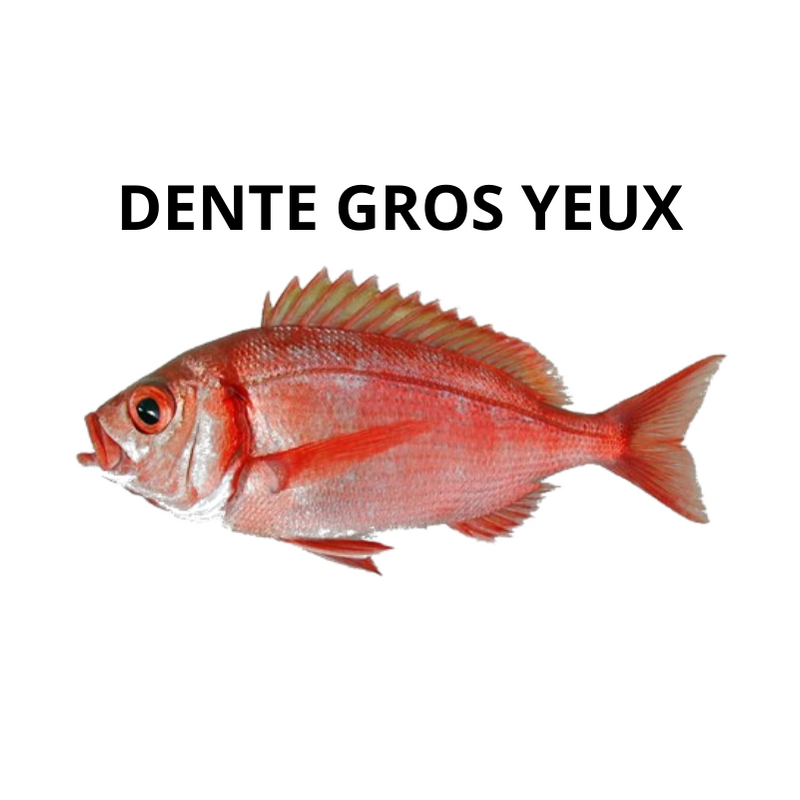 Dente gros yeux