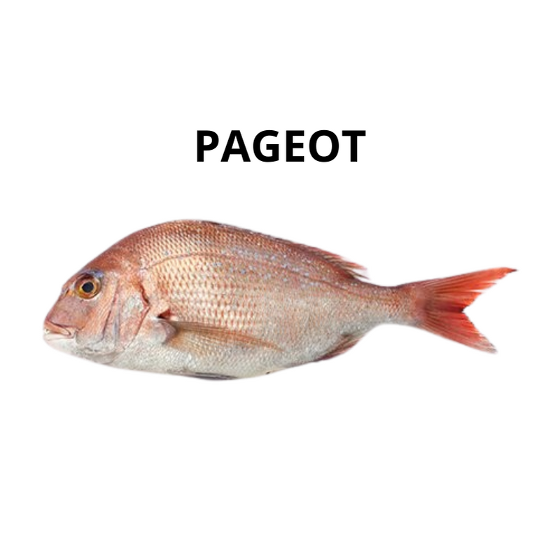 Pageot