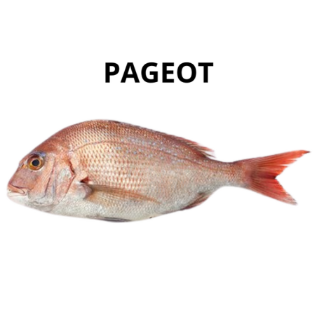 Pageot