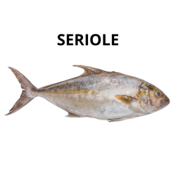 Sériole