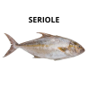 Sériole