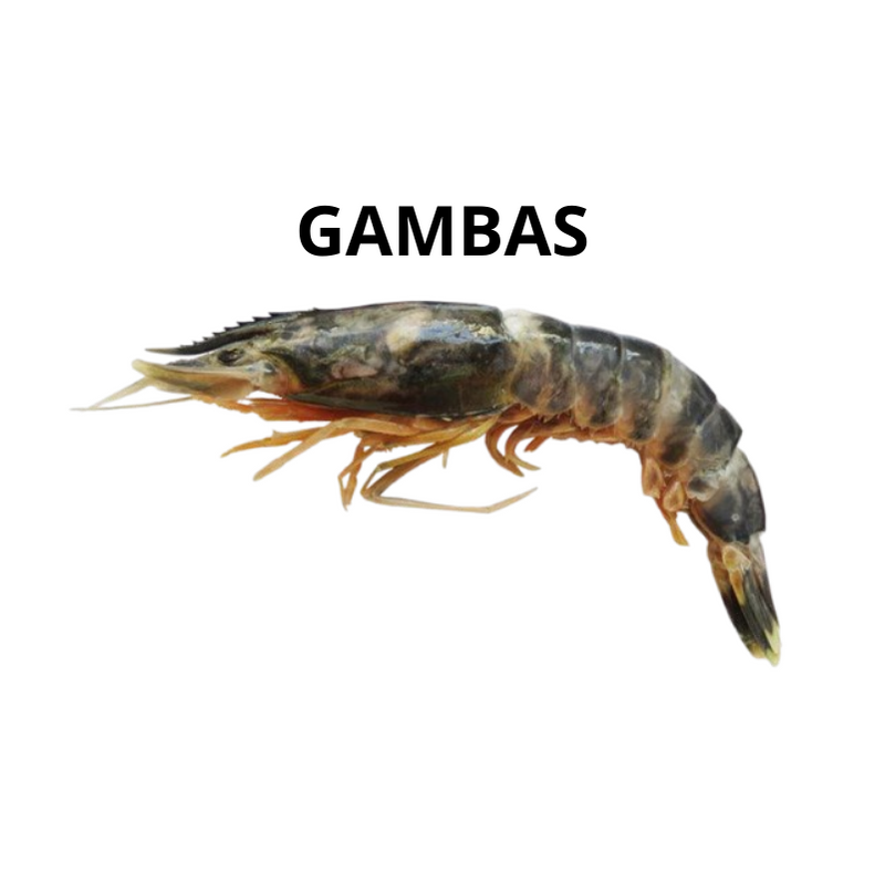 Gambas