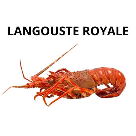 Langouste royale