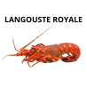 Langouste royale