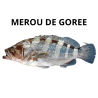 Mérou de Gorée