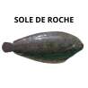 Sole de roche