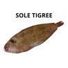 Sole tigrée