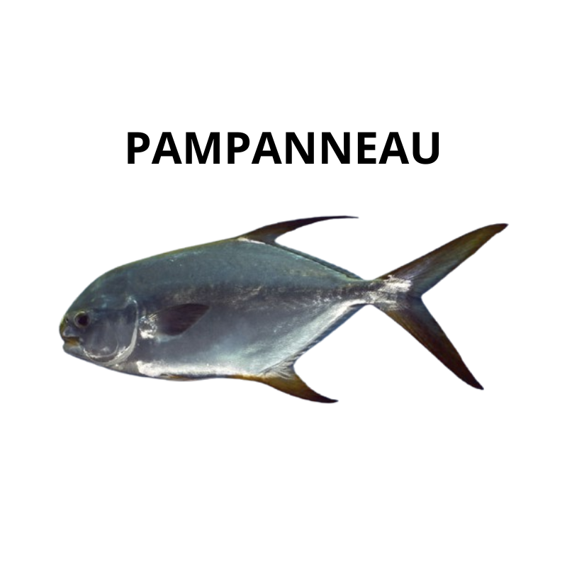 PAMPANNEAU