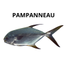 PAMPANNEAU