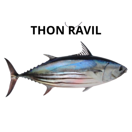 Thon ravil