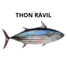 Thon ravil