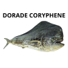 Dorade Coryphène