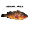 Mérou jaune