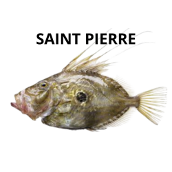 Saint Pierre