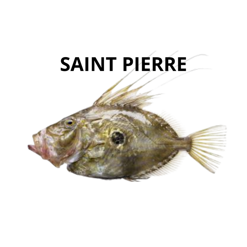 Saint Pierre