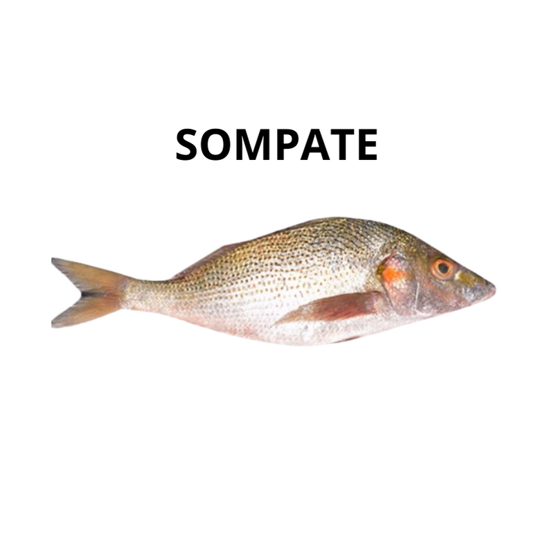 Sompatt