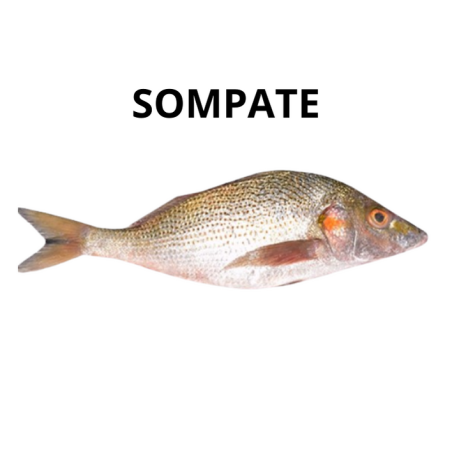 Sompatt