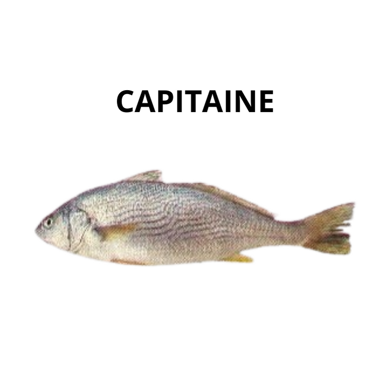 Capitaine (Beurre)