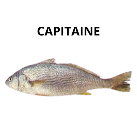 Capitaine (Beurre)