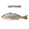 Capitaine (Beurre)