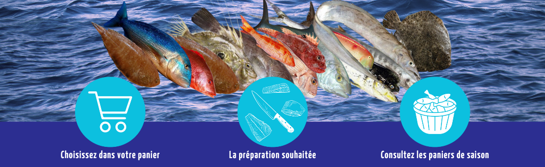 NDOYE DISTRIBUTION. Poissons de mer, crustacés, céphalopodes.